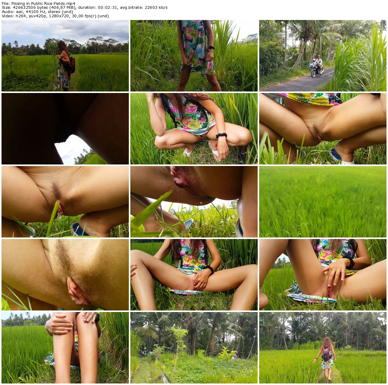 Pissing in Public Rice Fields_thumb.jpg