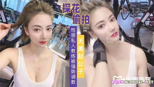 Chinesische Model-Sexvideos 1334